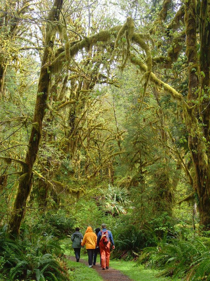 Lake Quinault Lodge Bagian luar foto