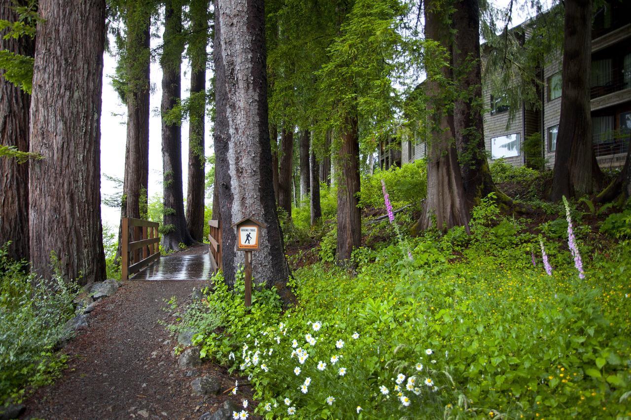 Lake Quinault Lodge Bagian luar foto